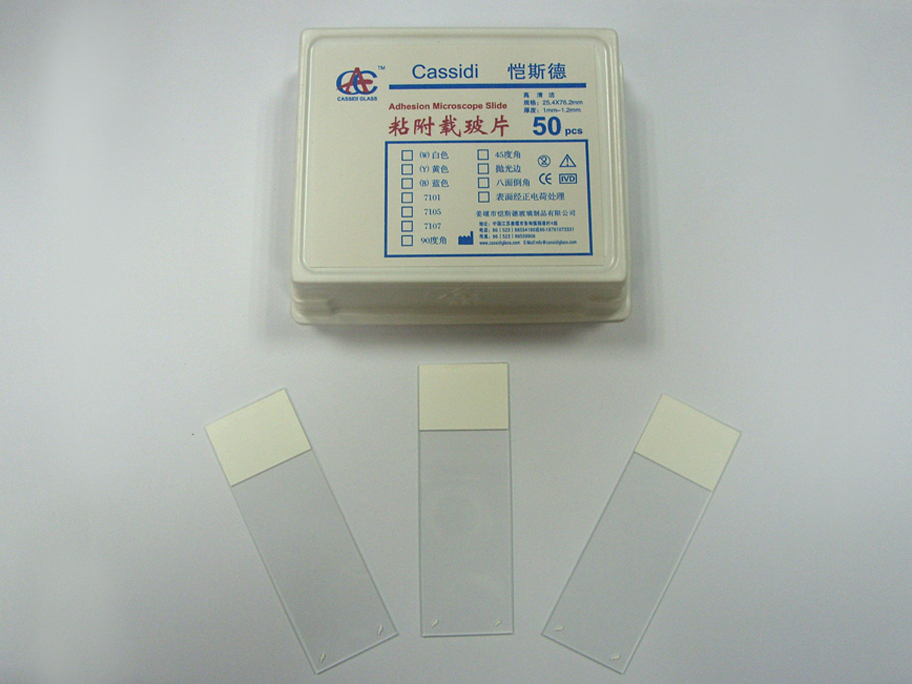 Positive Charge Slides